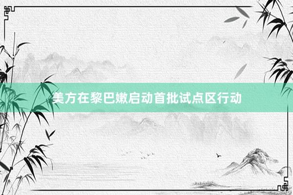 美方在黎巴嫩启动首批试点区行动