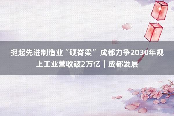 挺起先进制造业“硬脊梁” 成都力争2030年规上工业营收破2万亿｜成都发展