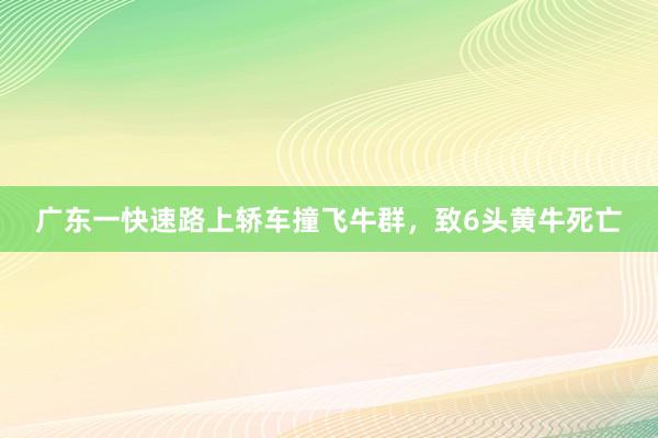 广东一快速路上轿车撞飞牛群，致6头黄牛死亡