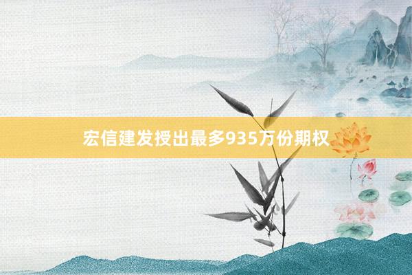 宏信建发授出最多935万份期权