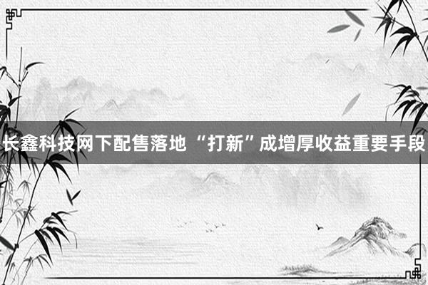 长鑫科技网下配售落地 “打新”成增厚收益重要手段