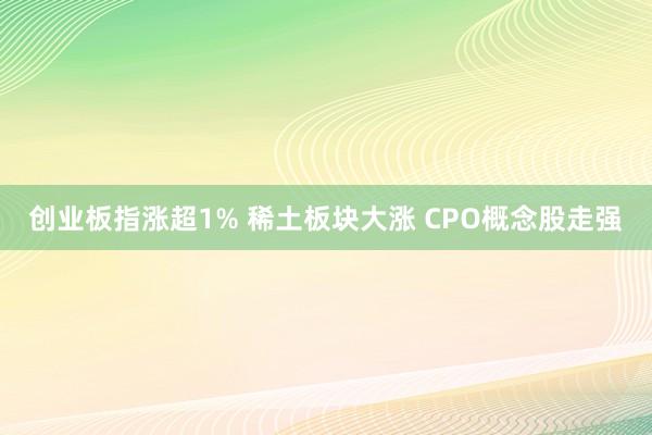 创业板指涨超1% 稀土板块大涨 CPO概念股走强