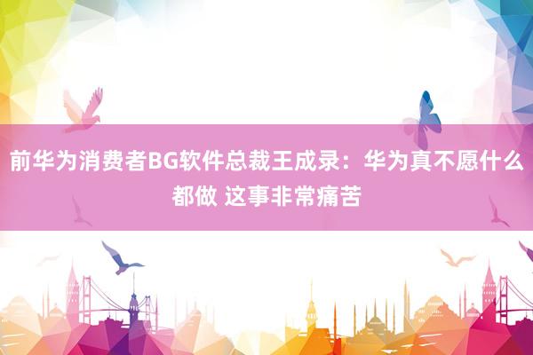 前华为消费者BG软件总裁王成录：华为真不愿什么都做 这事非常痛苦