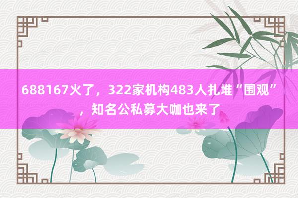 688167火了，322家机构483人扎堆“围观”，知名公私募大咖也来了