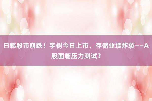 日韩股市崩跌！宇树今日上市、存储业绩炸裂——A股面临压力测试？