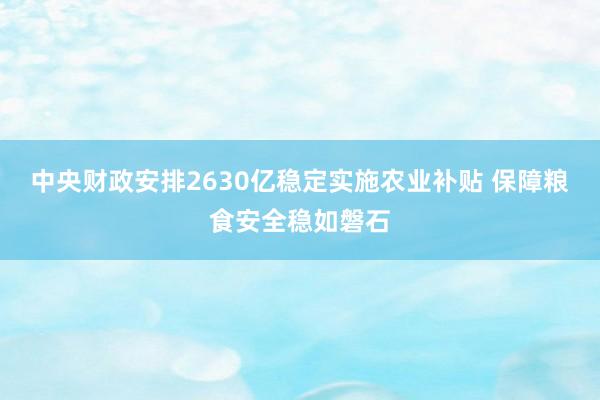 中央财政安排2630亿稳定实施农业补贴 保障粮食安全稳如磐石