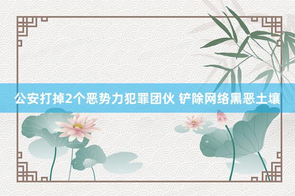 公安打掉2个恶势力犯罪团伙 铲除网络黑恶土壤