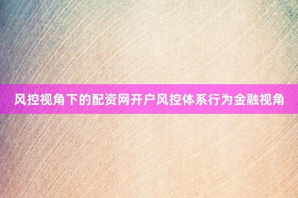 风控视角下的配资网开户风控体系行为金融视角