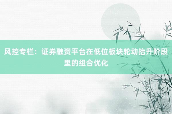 风控专栏：证券融资平台在低位板块轮动抬升阶段里的组合优化