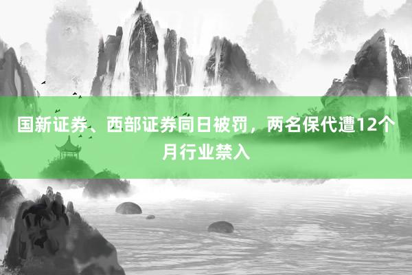 国新证券、西部证券同日被罚,两名保代遭12个月行业禁入