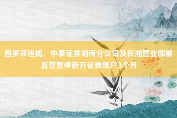 因多项违规，中泰证券湖南分公司及在湘营业部被监管暂停新开证券账户3个月