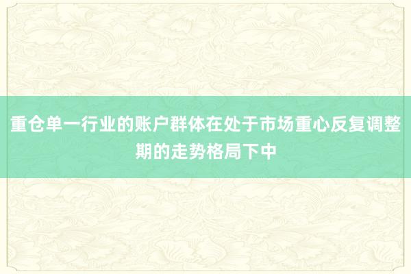 重仓单一行业的账户群体在处于市场重心反复调整期的走势格局下中