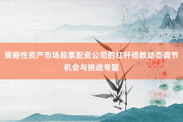 策略性资产市场股票配资公司的杠杆倍数动态调节机会与挑战专题