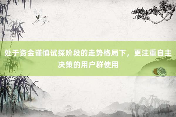 处于资金谨慎试探阶段的走势格局下,更注重自主决策的用户群使用