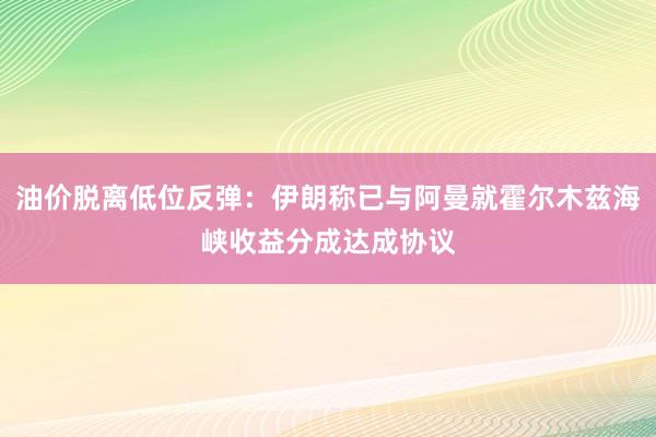 油价脱离低位反弹：伊朗称已与阿曼就霍尔木兹海峡收益分成达成协议