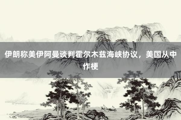 伊朗称美伊阿曼谈判霍尔木兹海峡协议，美国从中作梗