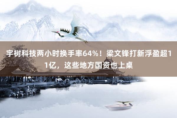 宇树科技两小时换手率64%！梁文锋打新浮盈超11亿，这些地方国资也上桌