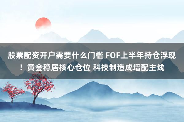 股票配资开户需要什么门槛 FOF上半年持仓浮现！黄金稳居核心仓位 科技制造成增配主线