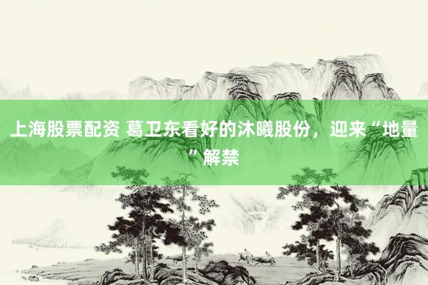 上海股票配资 葛卫东看好的沐曦股份，迎来“地量”解禁