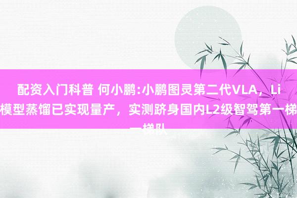 配资入门科普 何小鹏:小鹏图灵第二代VLA,Lite模型蒸馏已实现量产,实测跻身国内L2级智驾第一梯队