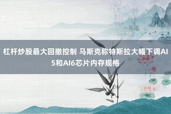 杠杆炒股最大回撤控制 马斯克称特斯拉大幅下调AI5和AI6芯片内存规格