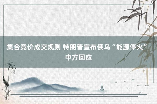 集合竞价成交规则 特朗普宣布俄乌“能源停火” 中方回应