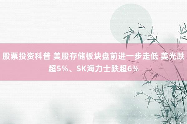 股票投资科普 美股存储板块盘前进一步走低 美光跌超5%、SK海力士跌超6%