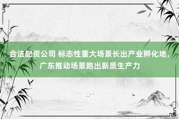 合法配资公司 标志性重大场景长出产业孵化地，广东推动场景跑出新质生产力