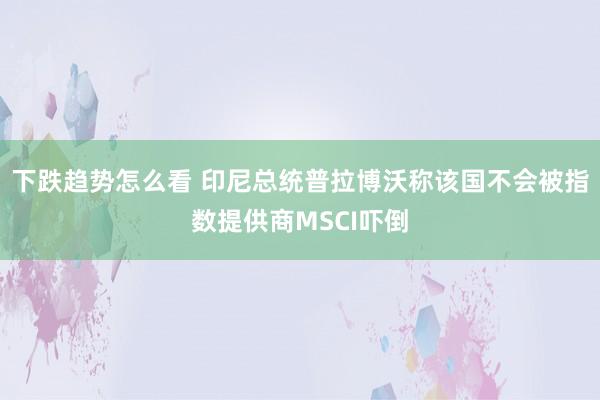 下跌趋势怎么看 印尼总统普拉博沃称该国不会被指数提供商MSCI吓倒
