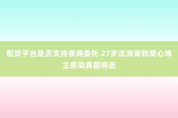 配资平台是否支持夜间委托 27岁流浪宠物爱心博主感染真菌病逝