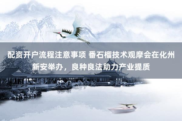 配资开户流程注意事项 番石榴技术观摩会在化州新安举办，良种良法助力产业提质